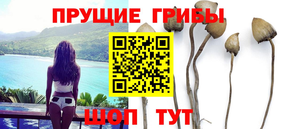 Галлюциногенные грибы мухоморы Дальнегорск