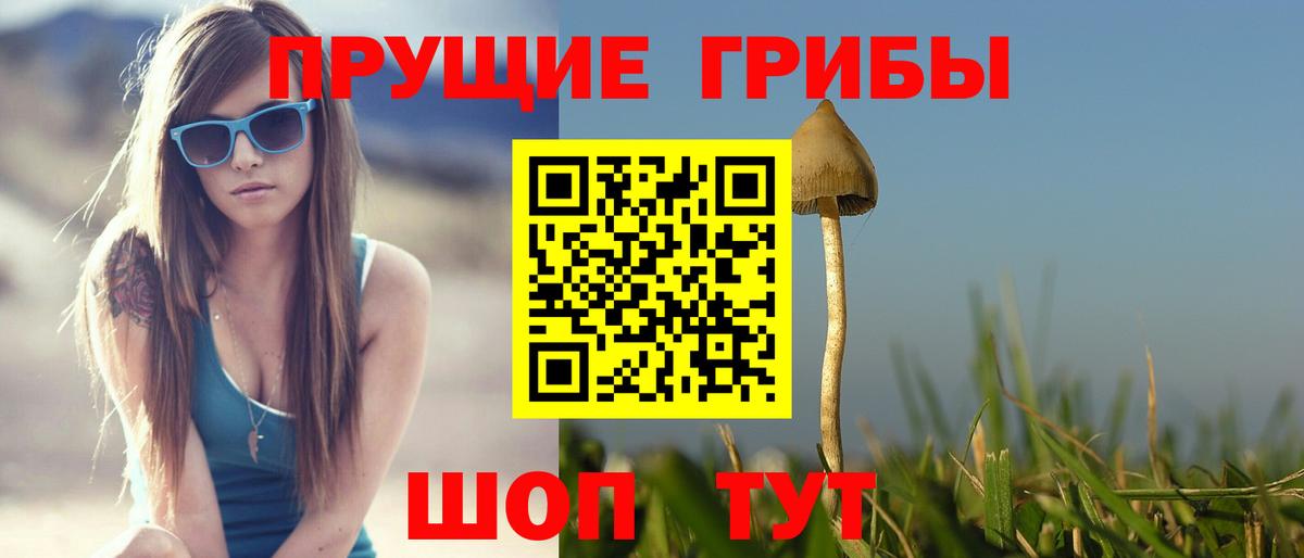 Дальнегорск  Псилоцибиновые грибы прущие грибы  Галлюциногенные грибы GOLDEN TEACHER  Вход с VPN 